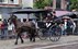 winnaar steken